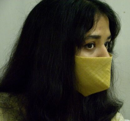 Stay Safe Golden Mask